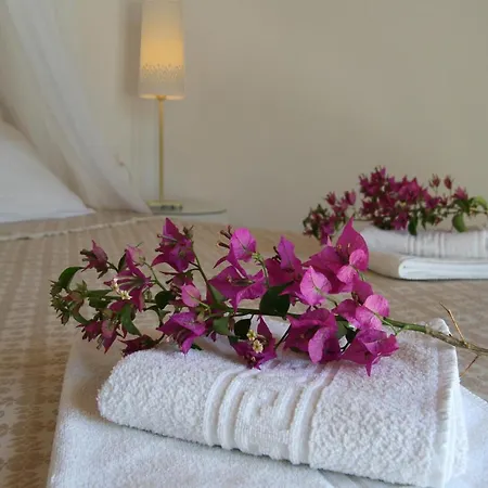 Maison Metel * Kontokali