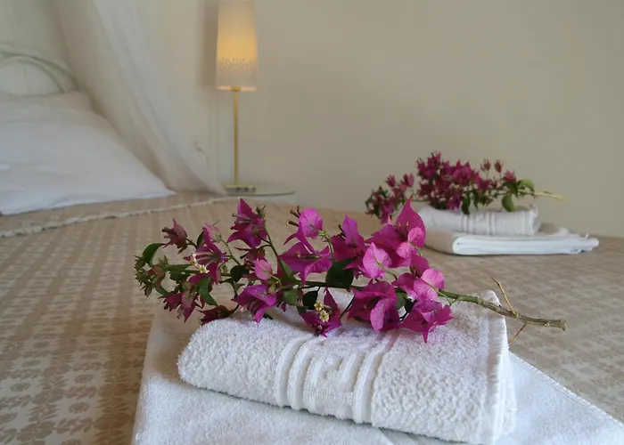 Maison Metel * Kontokali